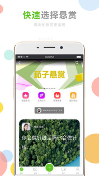 茄子懸賞