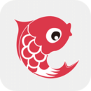 小鯉魚育兒