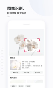 簡單搜索