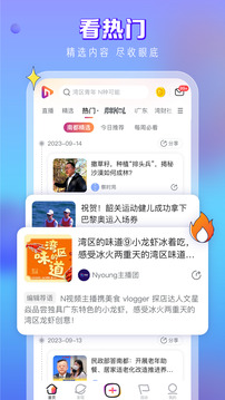 N視頻