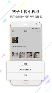 淮南查查網