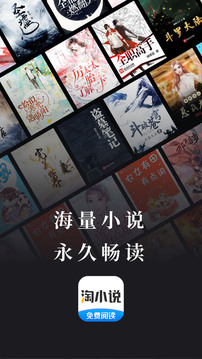 淘小說(shuō)