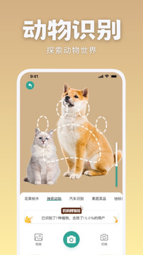 識(shí)花君