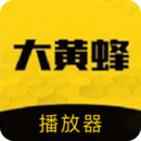 大黃蜂