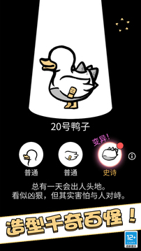 奇怪的鴨子