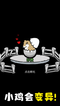 養雞時長兩年半